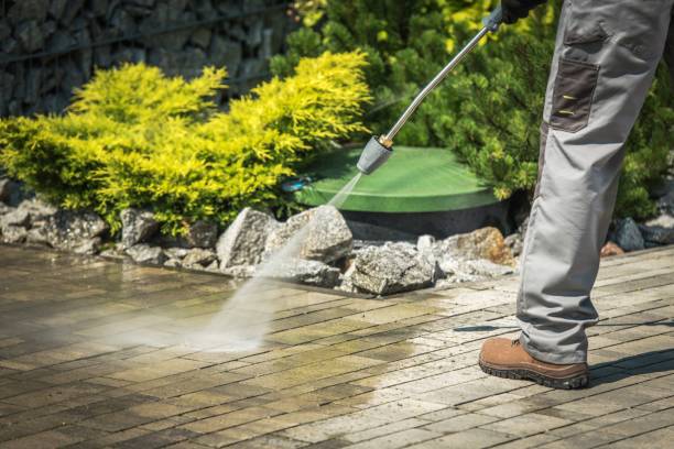 Best Spring Cleaning  in Greeley, CO